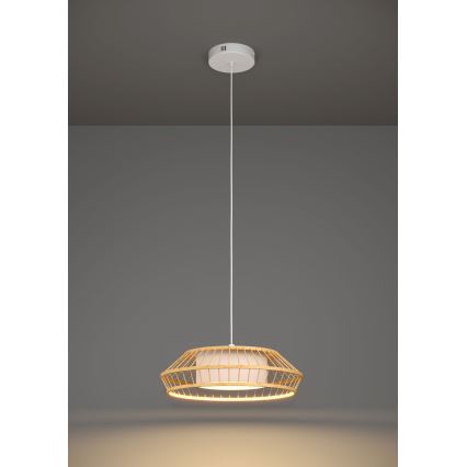 Eglo - Dimmbare LED-RGBW-Hängeleuchte LED/22W/230V 2700-6500K