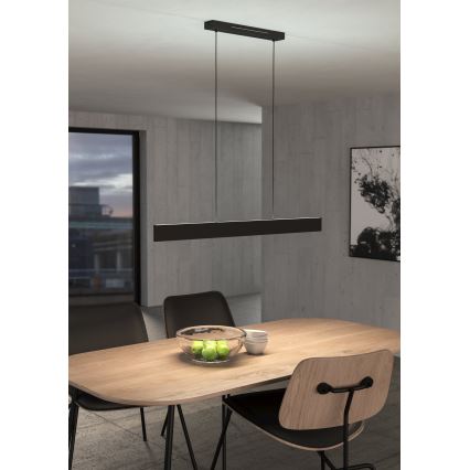 Eglo - Dimmbare LED-RGBW-Hängeleuchte an Schnur LED/38W/230V 2700-6500K schwarz