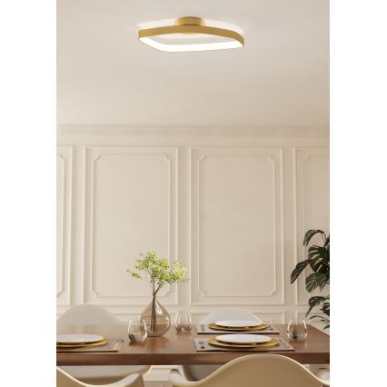 Eglo - Dimmbare LED-Deckenleuchte LED/25,2W/230V