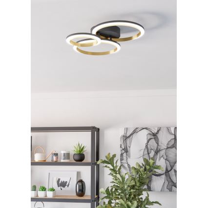 Eglo - Dimmbare LED-Deckenleuchte LED/20W/230V 4000K schwarz/golden