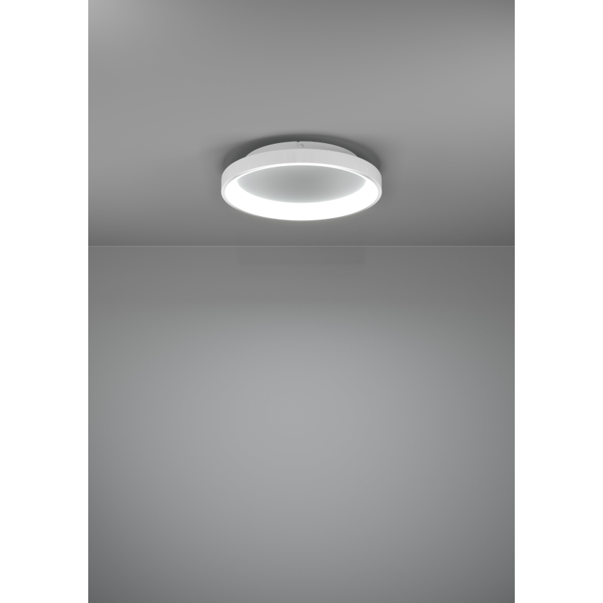 Eglo - Dimmbare LED-Deckenleuchte LED/12W/230V 2700-6500K weiß + Fernbedienung