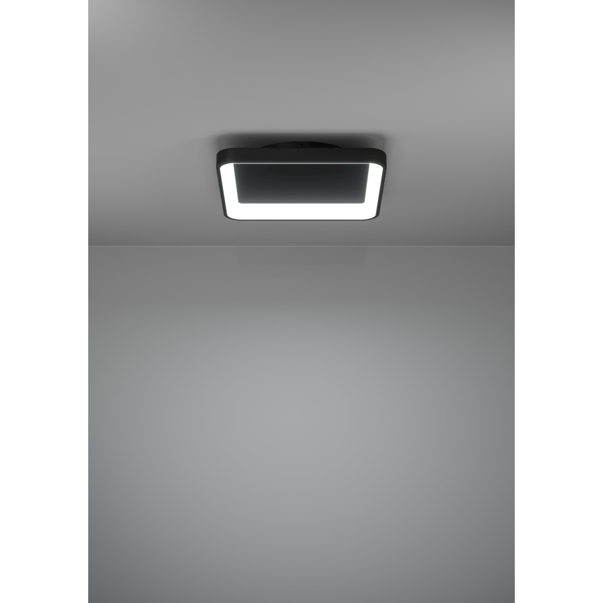 Eglo - Dimmbare LED-Deckenleuchte LED/12W/230V 2700-6500K schwarz + Fernbedienung