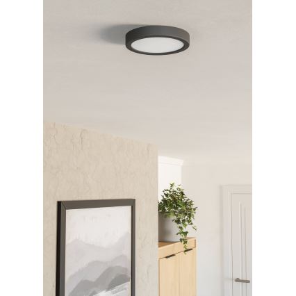 Eglo - LED-Deckenleuchte LED/7,5 W/230 V 2700/4000/6500 K Ø 16,6 cm schwarz