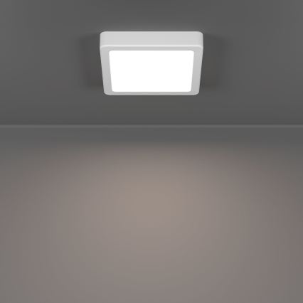 Eglo - LED-Deckenleuchte LED/7W/230V 2700/4000/6500K 15x15 cm weiß