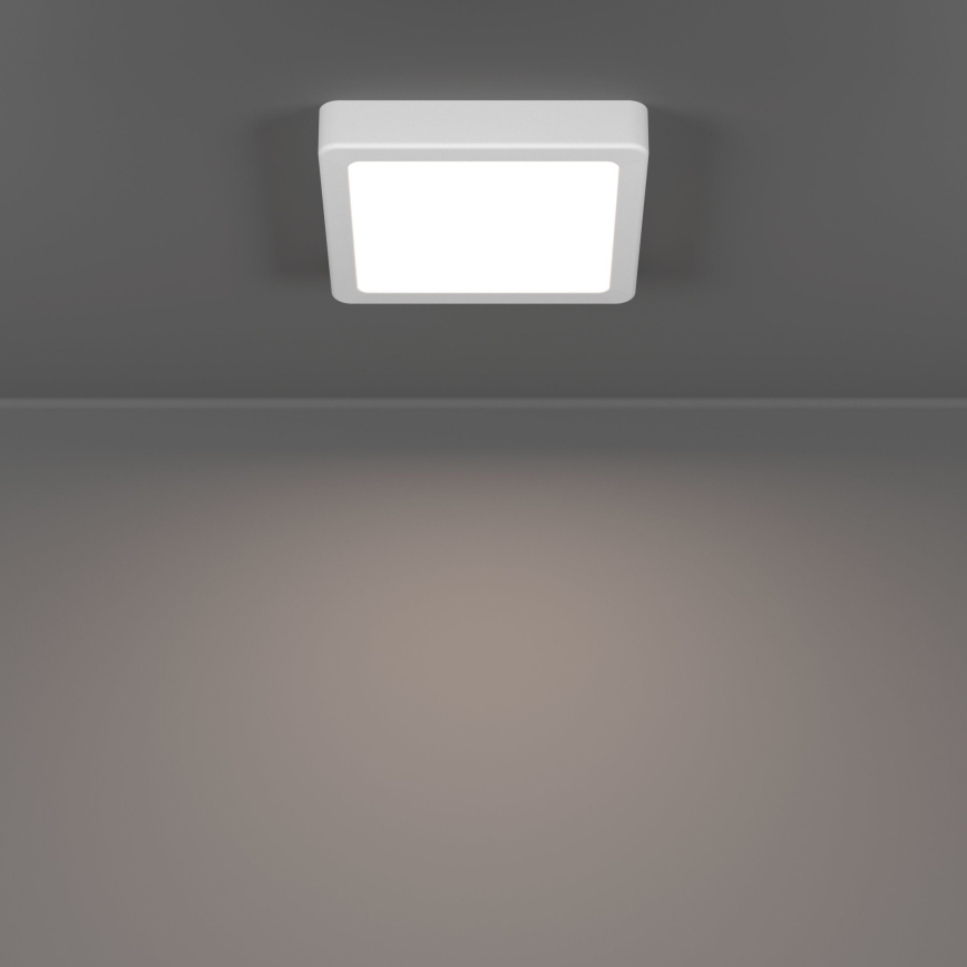 Eglo - LED-Deckenleuchte LED/7W/230V 2700/4000/6500K 15x15 cm weiß