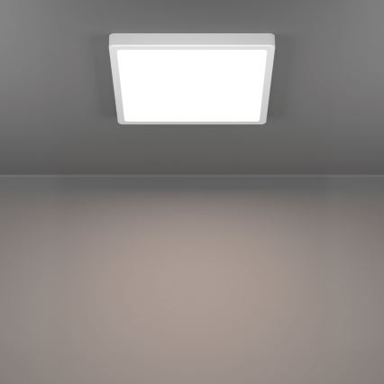 Eglo - LED-Deckenleuchte LED/13W/230V 2700/4000/6500K 29x29 cm weiß