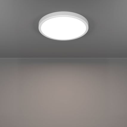 Eglo - LED-Badezimmer-Deckenleuchte LED/14,2W/230V 2700/4000/6500K Ø 27,8 cm IP44 weiß