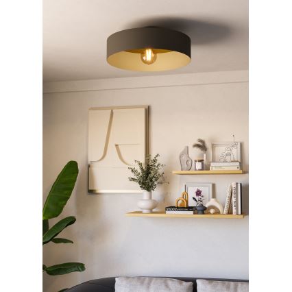 Eglo - Deckenleuchte 1xE27/40W/230V grau