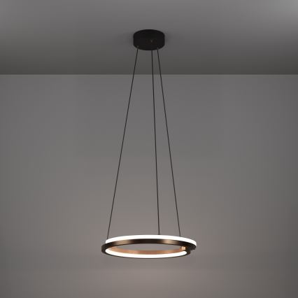 Eglo - Dimmbare LED-Hängeleuchte mit Kabelaufhängung 2xLED/20W/230V 2700-6500K Ø 48 cm Bronze + Fernbedienung