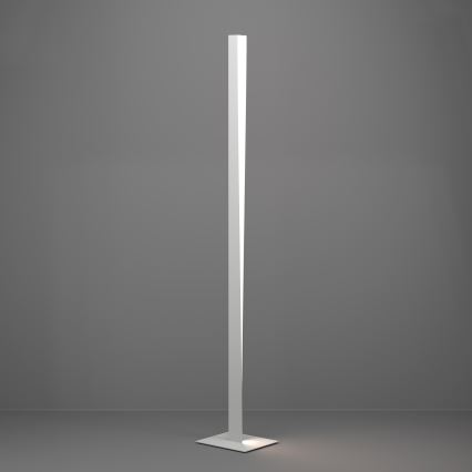 Eglo - LED RGBW dimmbare Stehlampe LED/10,5W/230V + LED/15,2W grau