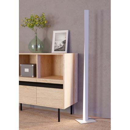 Eglo - LED RGBW dimmbare Stehlampe LED/10,5W/230V + LED/15,2W grau