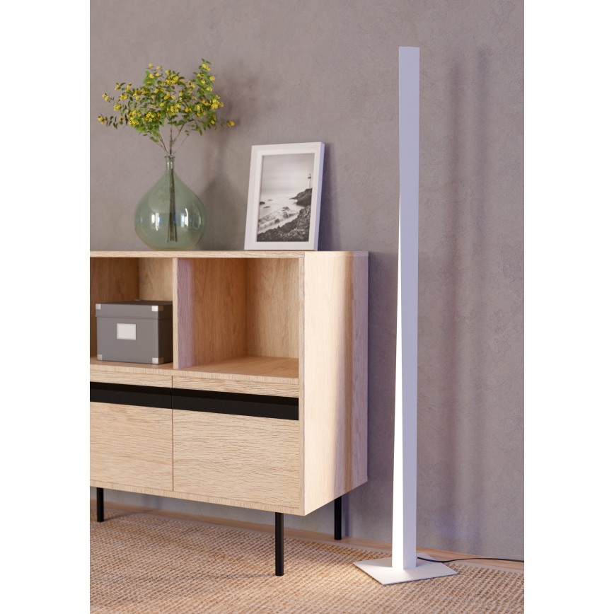 Eglo - LED RGBW dimmbare Stehlampe LED/10,5W/230V + LED/15,2W grau