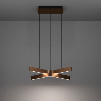 Eglo - LED RGBW dimmbare Pendelleuchte an Kabel 2xLED/18W/230V kupfer/schwarz