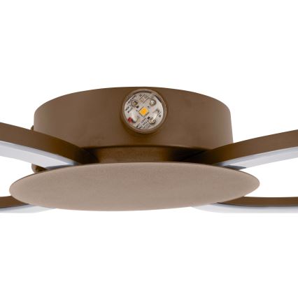 Eglo - LED-Wandleuchte LED/20W/230V + LED/0,91W beige