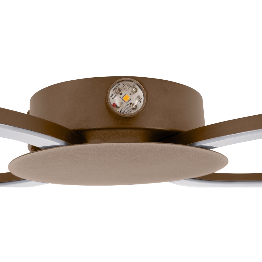 Eglo - LED-Wandleuchte LED/20W/230V + LED/0,91W beige