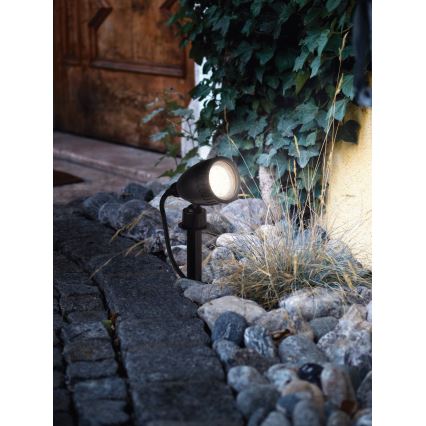Eglo - LED Außenleuchte 1xGU10/3W/230V IP44