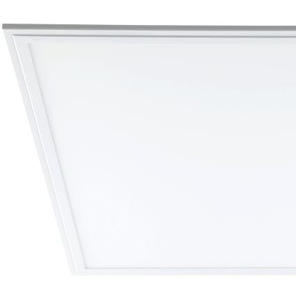 Eglo - LED Deckenplatte LED/40W/230V