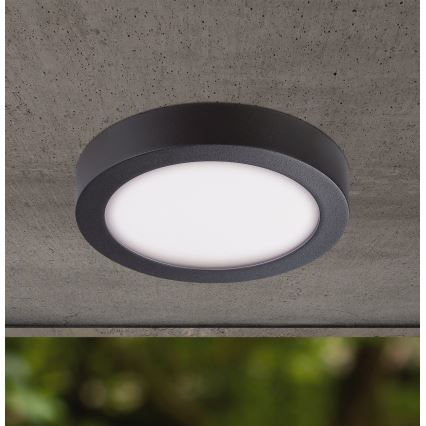 Eglo - LED Auβen-Deckenleuchte LED/16,5W/230V