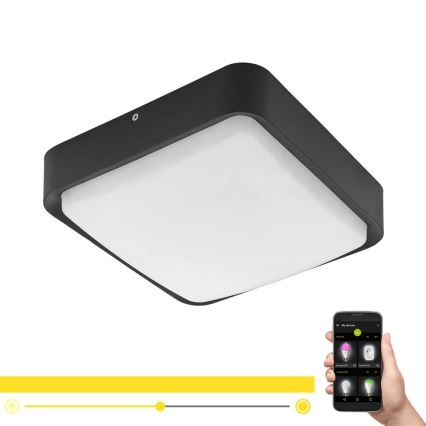 Eglo - LED dimmbares Außen-Deckenleuchte LED/14,6W/230V