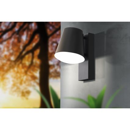 Eglo - LED dimmbares Außenwandleuchte CALDIERO-C 1xE27/9W/230V IP44