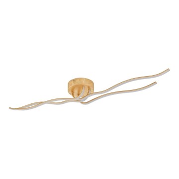 Eglo 97744 - LED-Aufbau-Deckenleuchte MIRAFLORES 4xLED/9W/230V