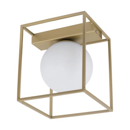 Eglo 97791 - Aufgesetzte Deckenleuchte VALLASPRA 1xE14/40W/230V