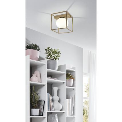 Eglo 97791 - Aufgesetzte Deckenleuchte VALLASPRA 1xE14/40W/230V