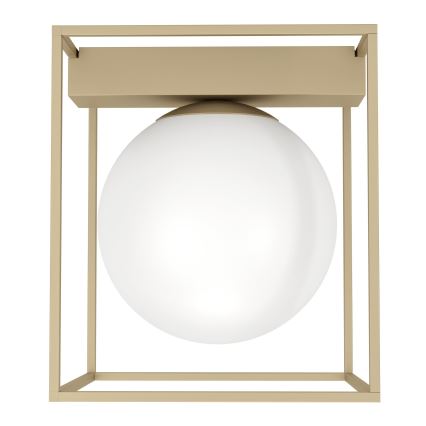 Eglo 97791 - Aufgesetzte Deckenleuchte VALLASPRA 1xE14/40W/230V