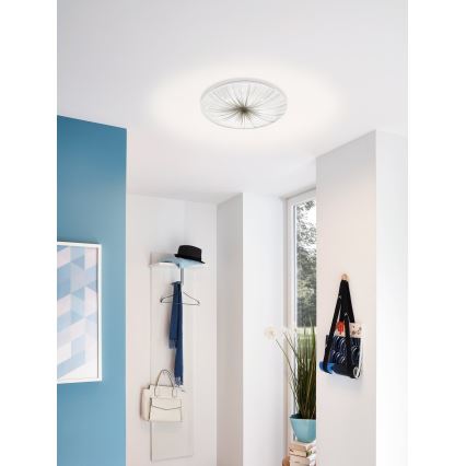Eglo - LED Deckenleuchte LED/19,5W/230V