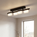 Eglo 98874 - LED-dimmbare Aufbau-Deckenleuchte ERVIDEL 4xLED/4,5W/230V