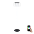 Eglo 99037 - dimmbare RGB-LED-Stehlampe BRIAGLIA-C LED/24,8W/230V
