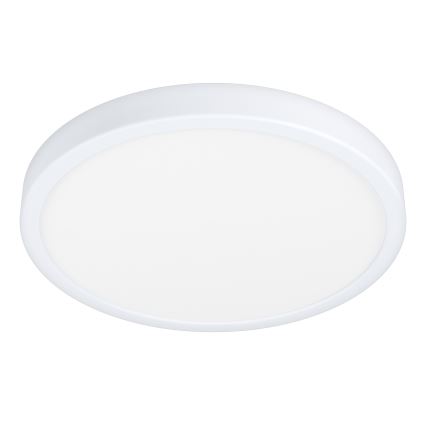 Eglo - LED Bad-Deckenleuchte LED/20W/230V IP44