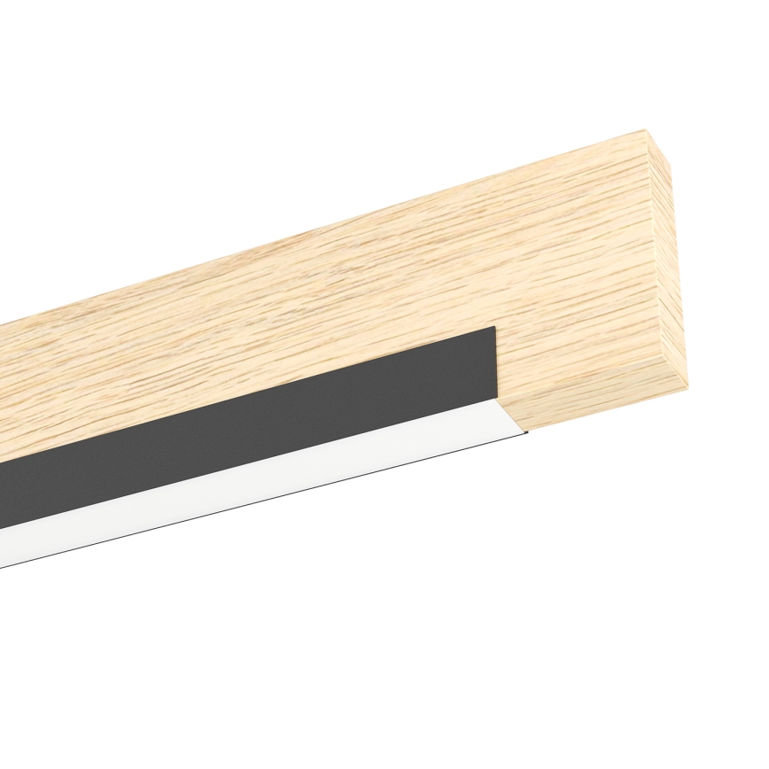 Eglo - Dimmbare LED-Deckenleuchte 2xLED/10W/230V