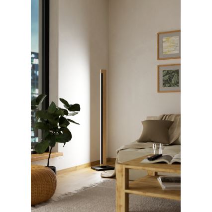 Eglo - Dimmbare LED-Stehleuchte mit Touch-Funktion CAMACHO LED/22W/230V