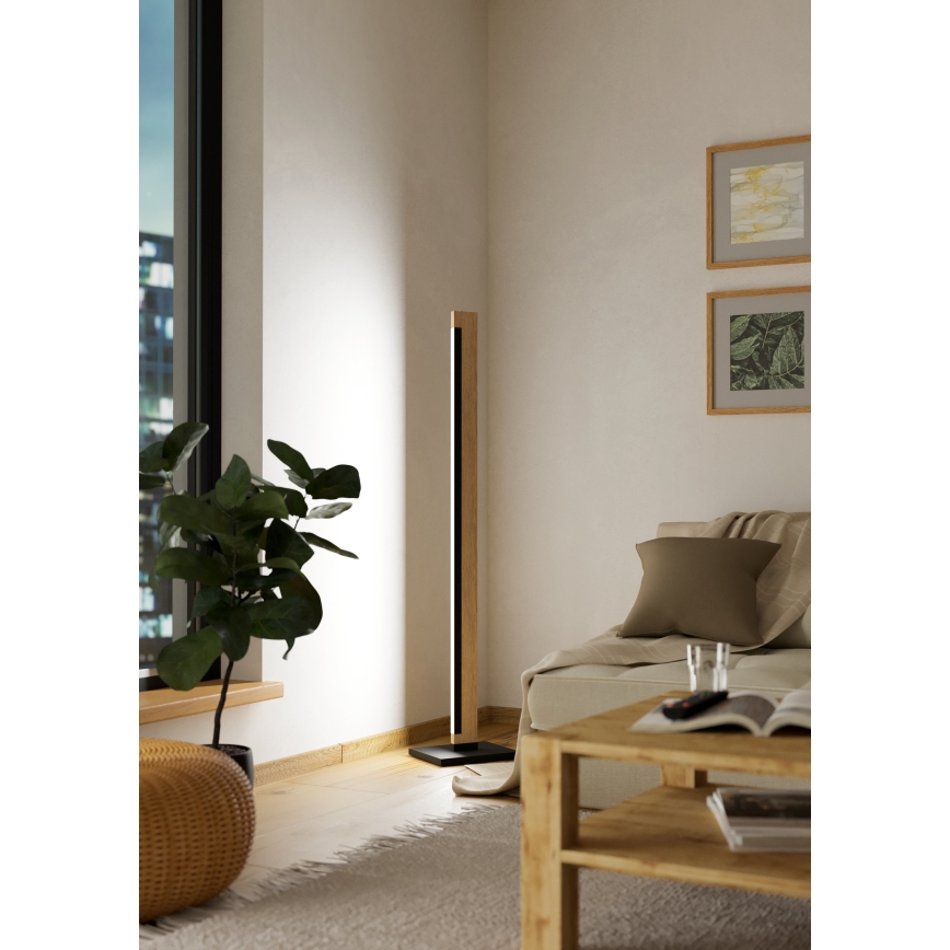 Eglo - Dimmbare LED-Stehleuchte mit Touch-Funktion CAMACHO LED/22W/230V