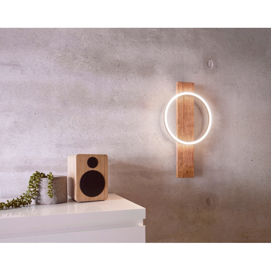 Eglo - LED Wandbeleuchtung LED/12W/230V