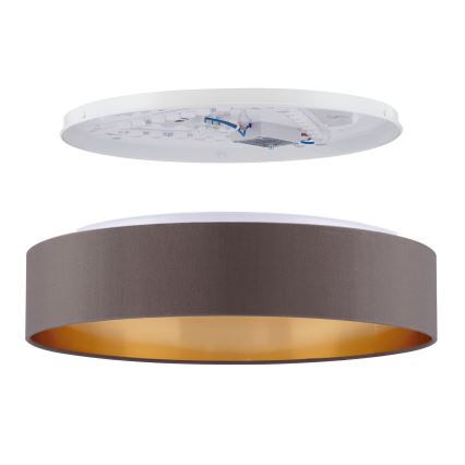 Eglo - LED Deckenleuchte LED/24W/230V
