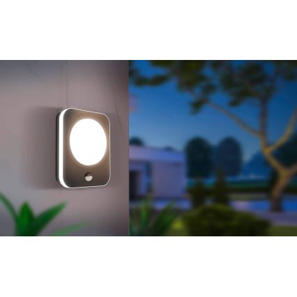 Eglo - LED-Außenwandleuchte mit Sensor LED/9W/230V IP44