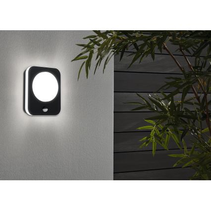 Eglo - LED-Außenwandleuchte mit Sensor LED/9W/230V IP44