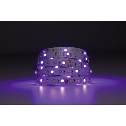 Eglo - Dimmbarer LED-RGBW-Streifen 5m LED/11W/12/230V 2700-6500K ZigBee