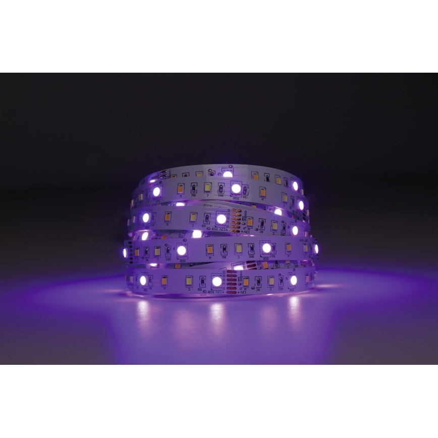 Eglo - Dimmbarer LED-RGBW-Streifen 5m LED/11W/12/230V 2700-6500K ZigBee