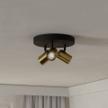 Eglo - Badezimmer-Spotleuchte 3xGU10/5W/230V IP44 schwarz/gold