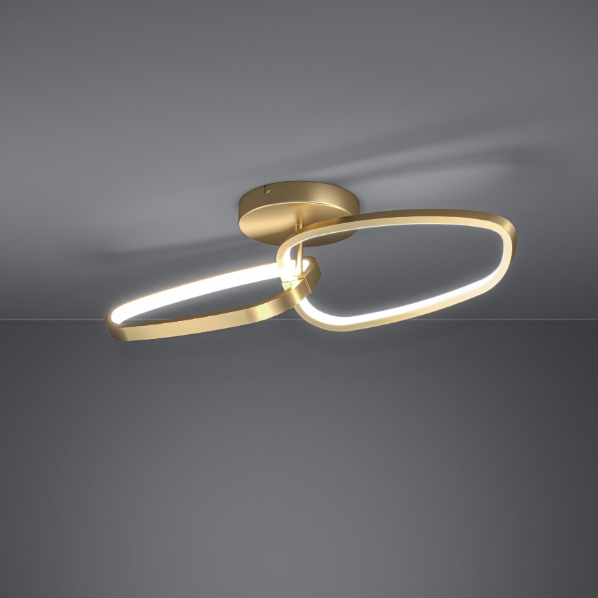 Eglo - Dimmbare LED-Anbauleuchte LED/25W/230V 3000K golden
