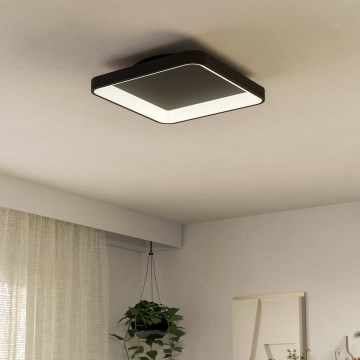 Eglo - Dimmbare LED-Deckenleuchte LED/12W/230V 2700-6500K schwarz + Fernbedienung