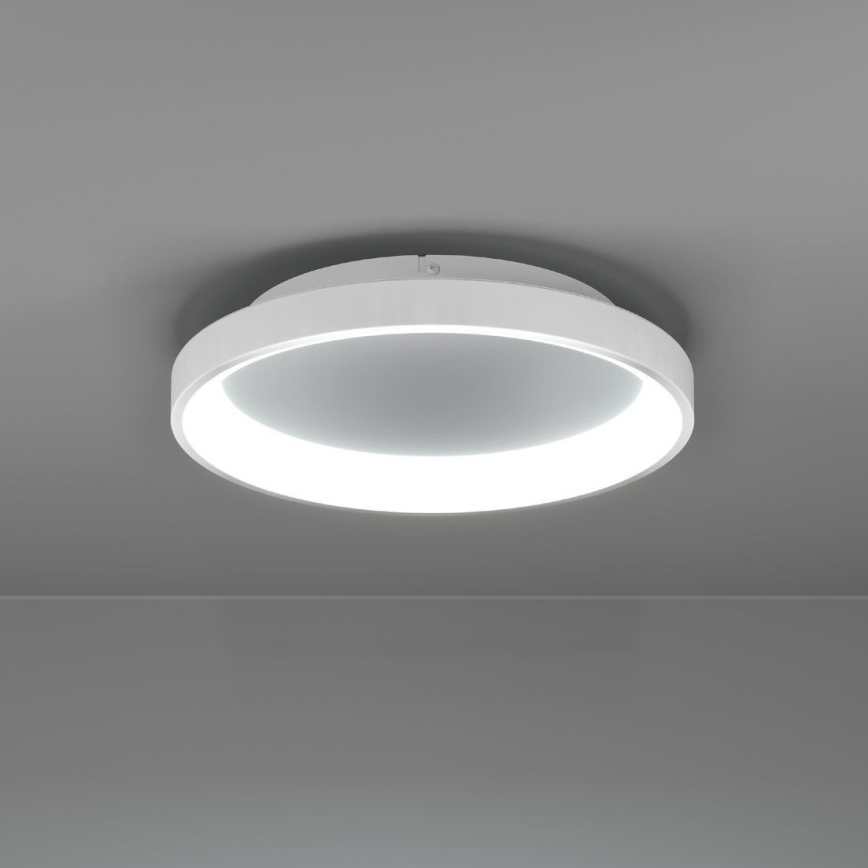 Eglo - Dimmbare LED-Deckenleuchte LED/12W/230V 2700-6500K weiß + Fernbedienung