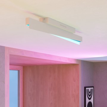 Eglo - Dimmbare LED-RGBW-Deckenleuchte LED/13W/230V 2700-6500K grau