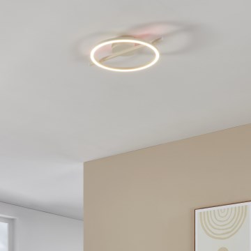 Eglo - Dimmbare LED-RGBW-Deckenleuchte LED/17W/230V 2700-6500K weiß + Fernbedienung