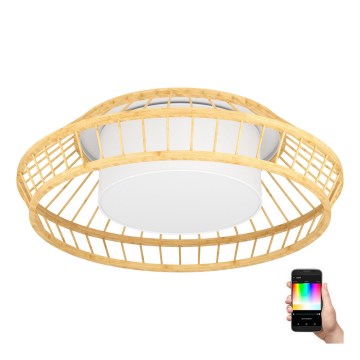 Eglo - Dimmbare LED-RGBW-Deckenleuchte LED/22W/230V 2700-6500K