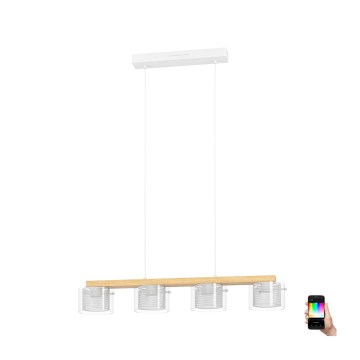 Eglo - Dimmbare LED-RGBW-Hängeleuchte 4xLED/3,7W/230V 2700-6500K