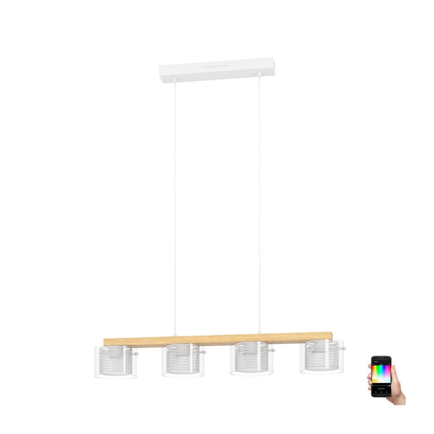 Eglo - Dimmbare LED-RGBW-Hängeleuchte 4xLED/3,7W/230V 2700-6500K